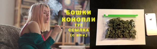 первитин Новозыбков