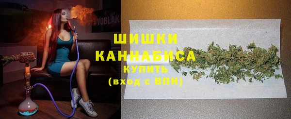 первитин Новозыбков