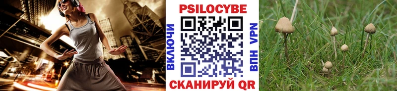 площадка наркотические препараты  Ржев  Псилоцибиновые грибы Cubensis 