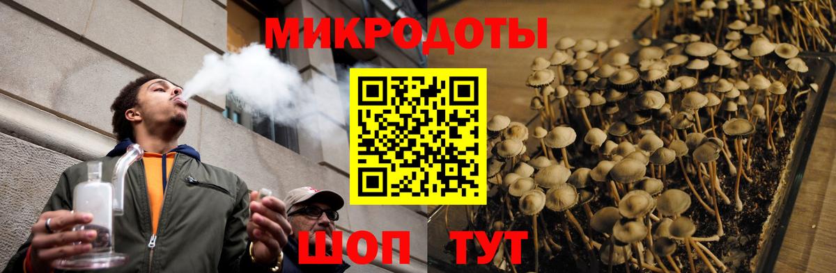 Ржев  Псилоцибиновые грибы MAGIC MUSHROOMS  Вход с VPN 